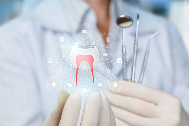 Best Traditional Braces  in Fruita, CO